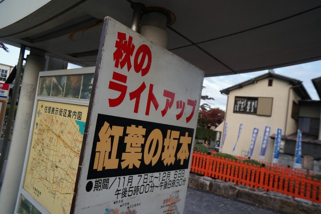 f:id:akihiko-0113:20201115011609j:image