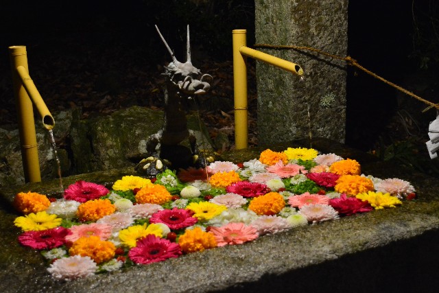 f:id:akihiko-0113:20201115015033j:image