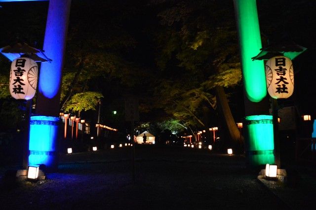 f:id:akihiko-0113:20201115015210j:image