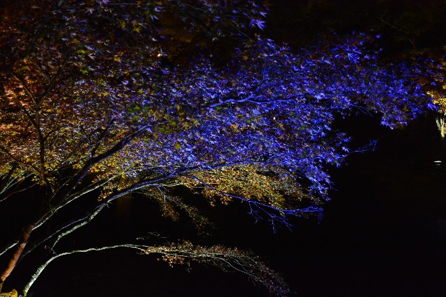 f:id:akihiko-0113:20201115020835j:image