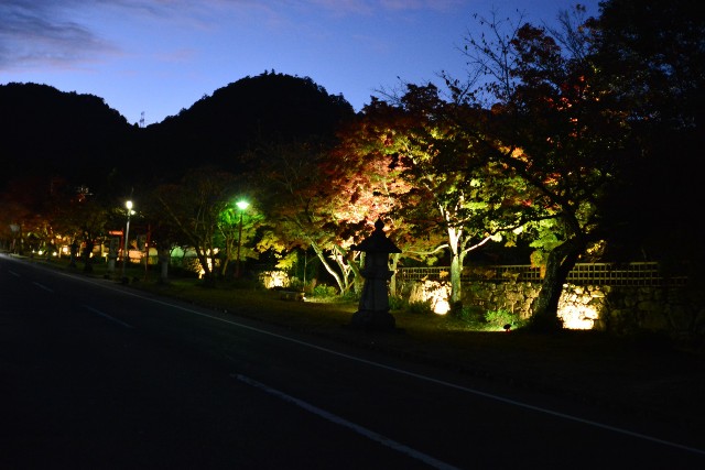 f:id:akihiko-0113:20201115021930j:image