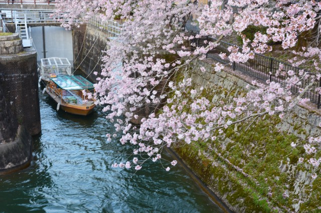 f:id:akihiko-0113:20210403055519j:image