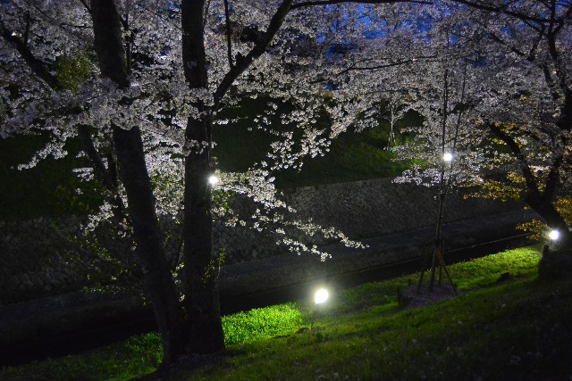 f:id:akihiko-0113:20210405061932j:image
