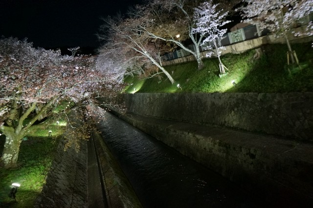 f:id:akihiko-0113:20210405062019j:image