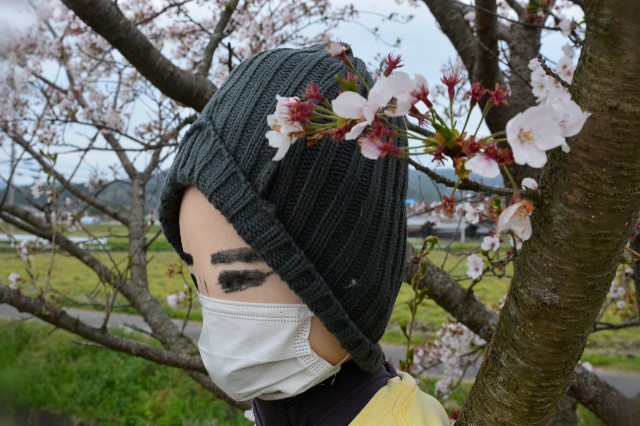 f:id:akihiko-0113:20210409020614j:image