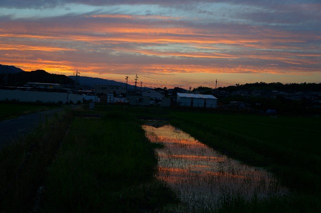 f:id:akihiko-0113:20210622051339j:image