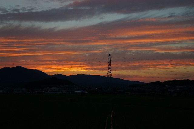 f:id:akihiko-0113:20210622052204j:image