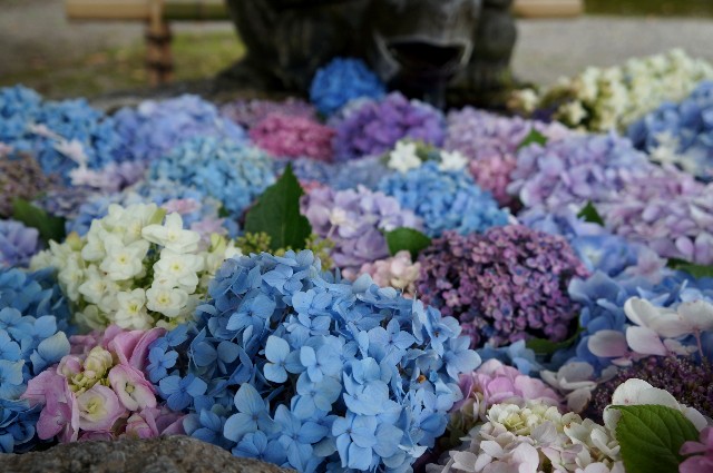 f:id:akihiko-0113:20210704075437j:image