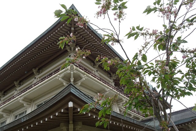 f:id:akihiko-0113:20230426103555j:image
