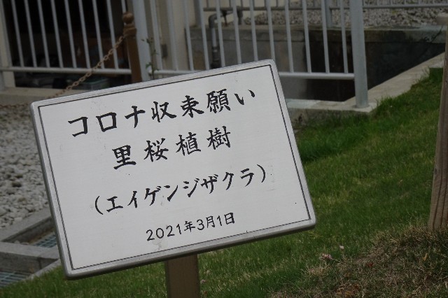 f:id:akihiko-0113:20230426103625j:image