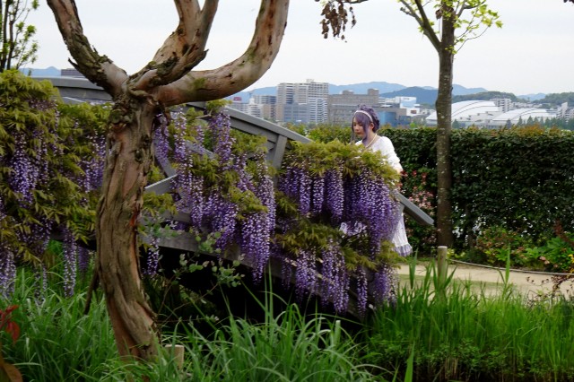 f:id:akihiko-0113:20230427220600j:image