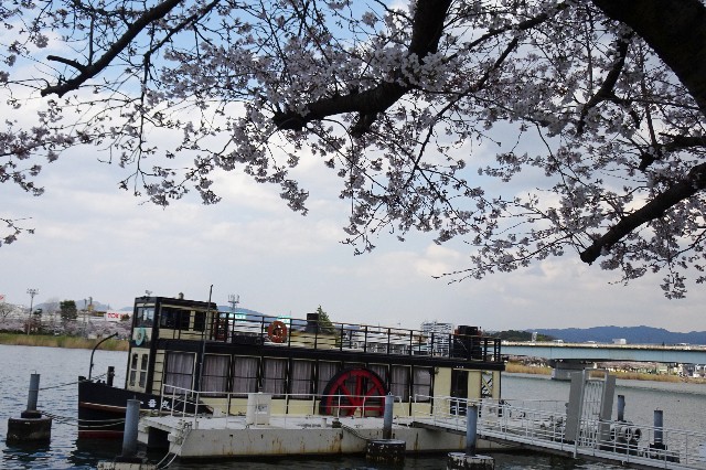 f:id:akihiko-0113:20250412063215j:image