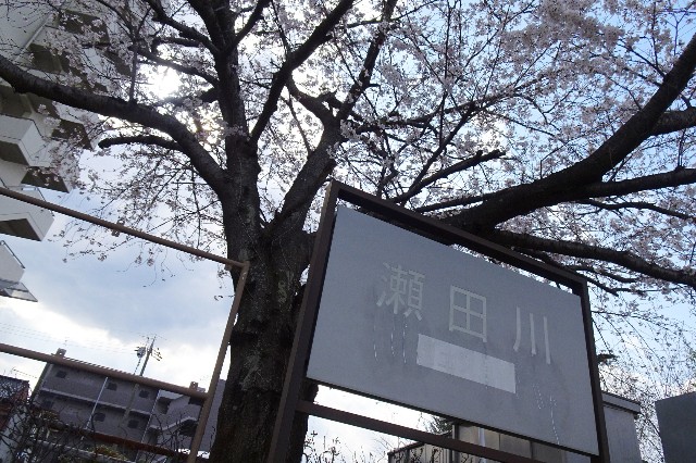 f:id:akihiko-0113:20250412063420j:image