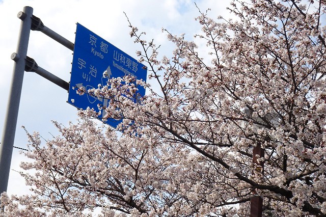 f:id:akihiko-0113:20250412112212j:image