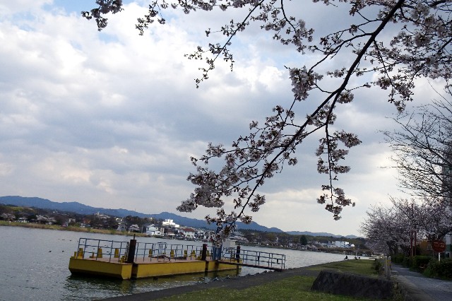 f:id:akihiko-0113:20250412112235j:image