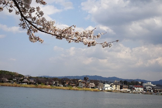 f:id:akihiko-0113:20250412112259j:image