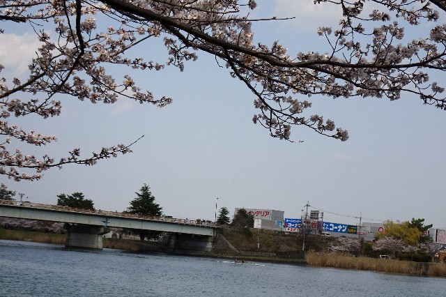 f:id:akihiko-0113:20250412112318j:image
