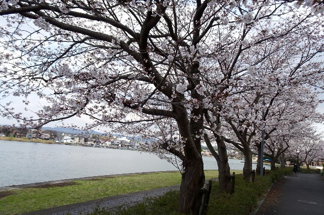 f:id:akihiko-0113:20250412112337j:image