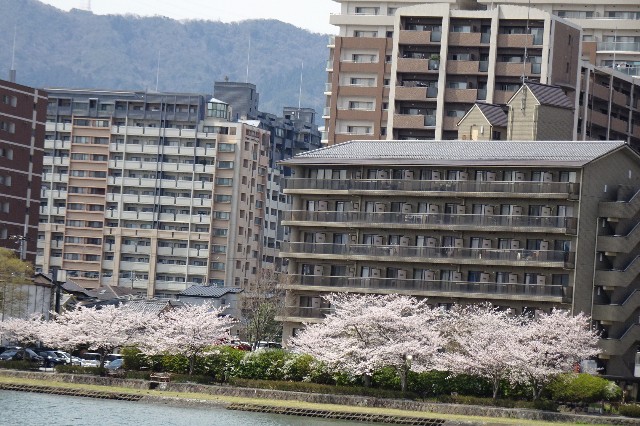 f:id:akihiko-0113:20250412165410j:image