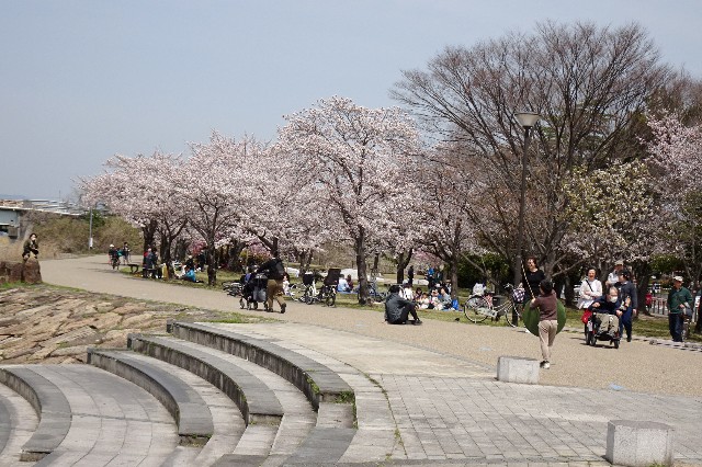 f:id:akihiko-0113:20250412165510j:image