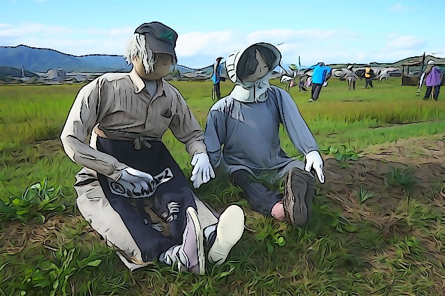 f:id:akihiko-0113:20251031003625j:image