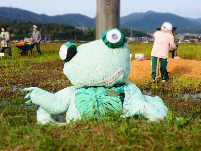 f:id:akihiko-0113:20251102183438j:image