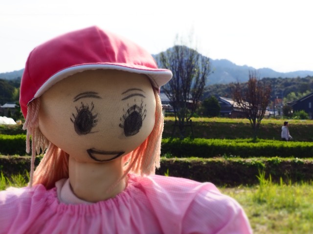 f:id:akihiko-0113:20251102184545j:image