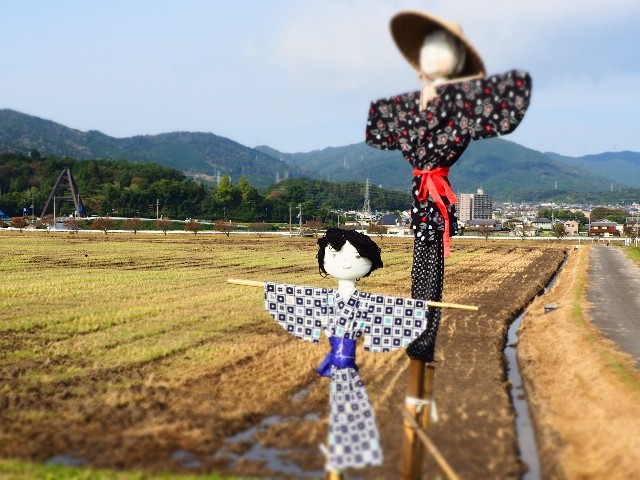 f:id:akihiko-0113:20251102184706j:image