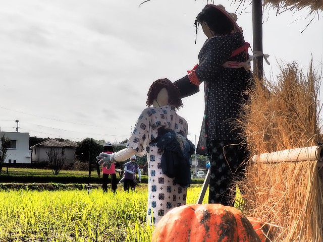 f:id:akihiko-0113:20251105132500j:image