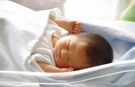 人はなぜわが子を虐待し 殺してしまうのか ２ フクロウの精神分析