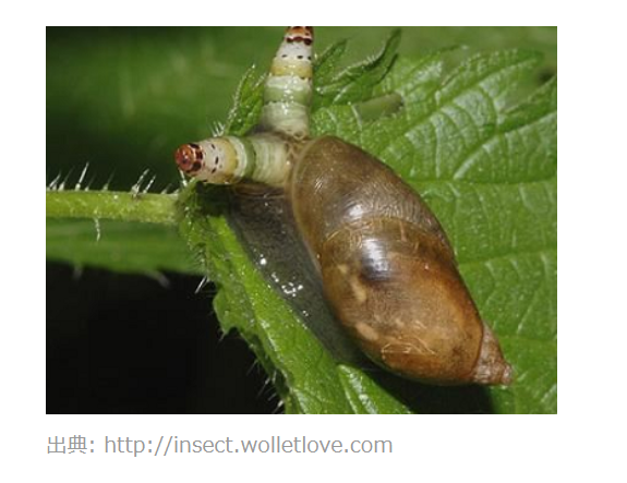 人はなぜ依存症になるのか 脳を支配される人々 1 フクロウの精神分析