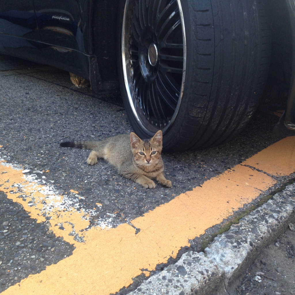 f:id:akihiro5:20160711232356j:plain