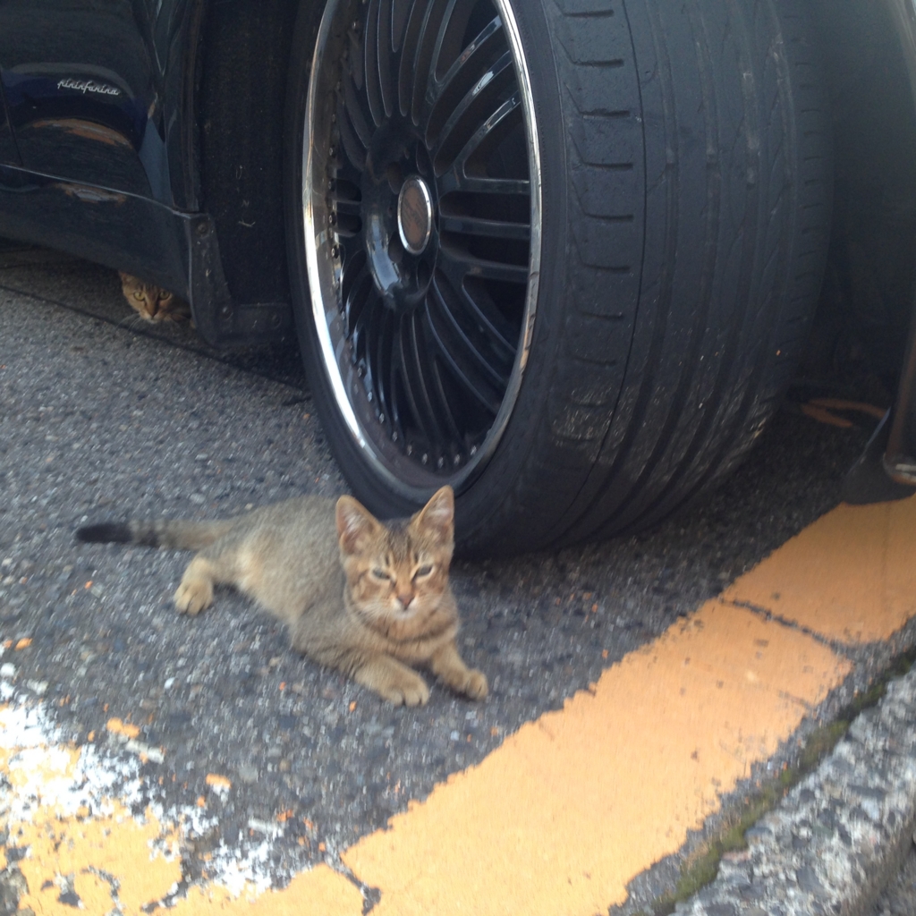 f:id:akihiro5:20160711232418j:plain