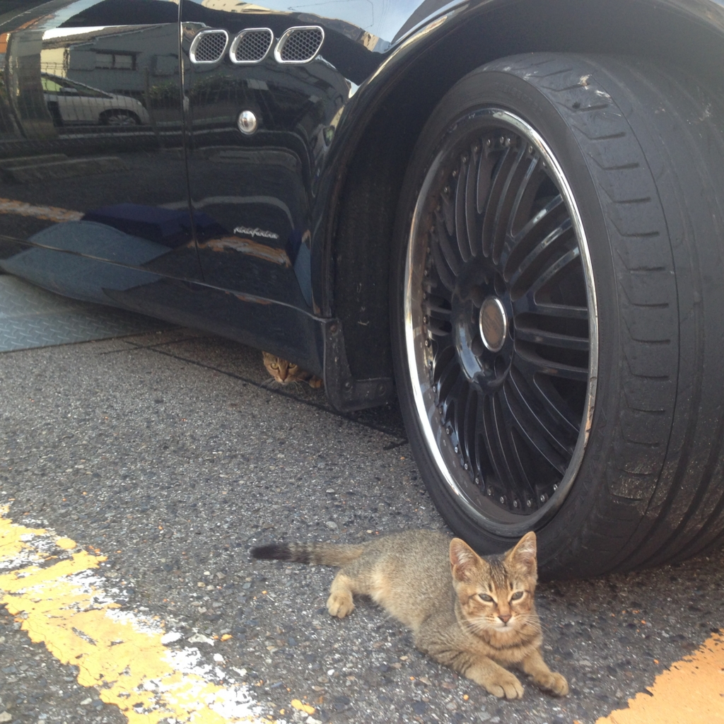 f:id:akihiro5:20160711232438j:plain