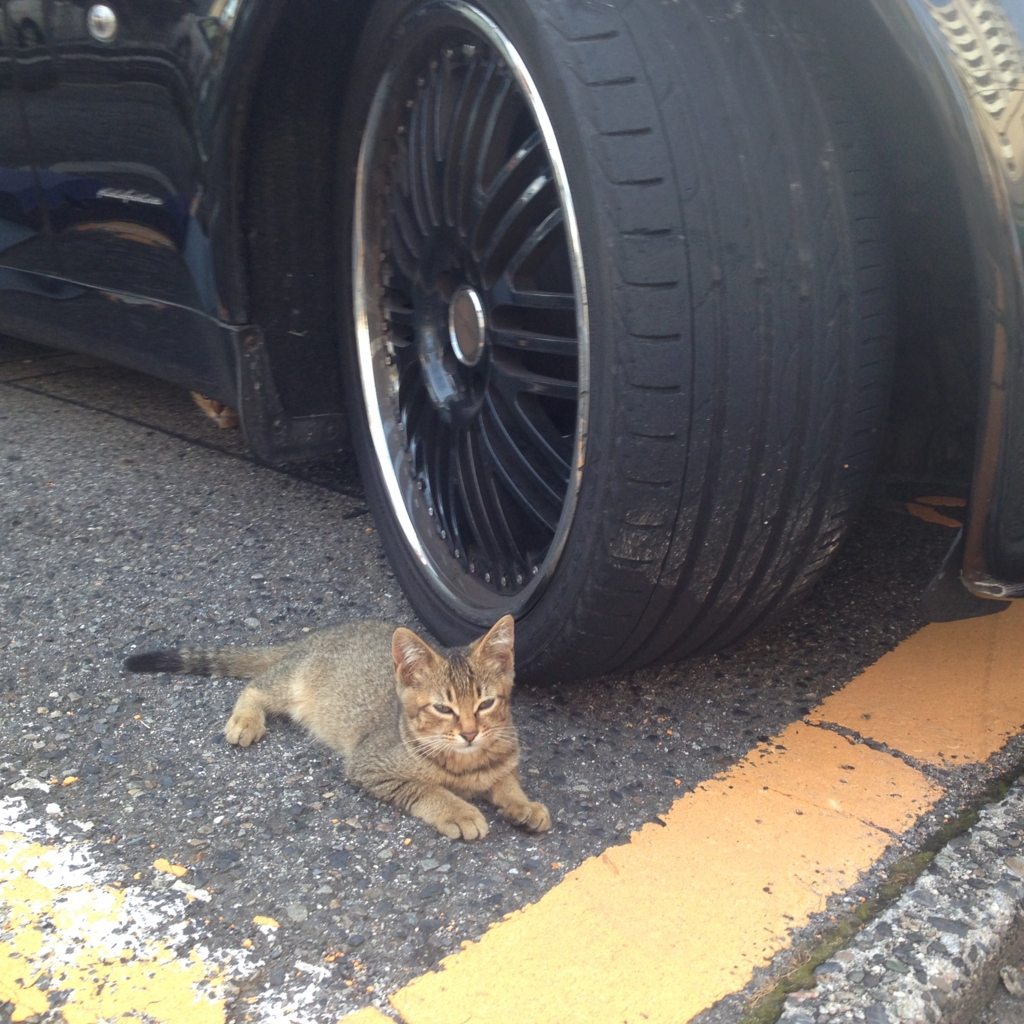 f:id:akihiro5:20160711232501j:plain