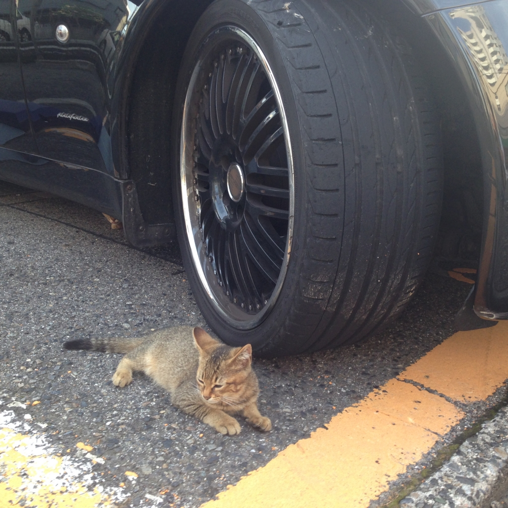 f:id:akihiro5:20160711232526j:plain