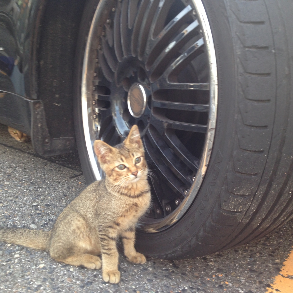 f:id:akihiro5:20160711233000j:plain