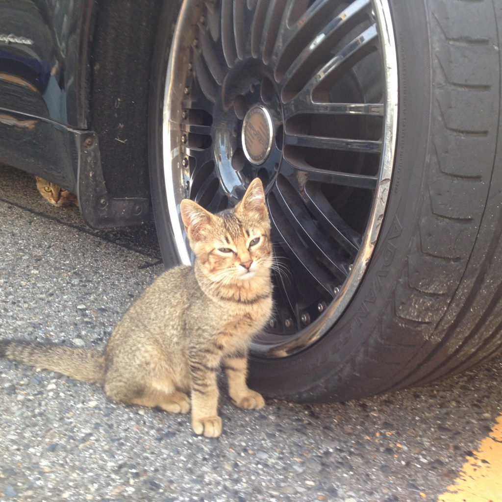 f:id:akihiro5:20160711233040j:plain