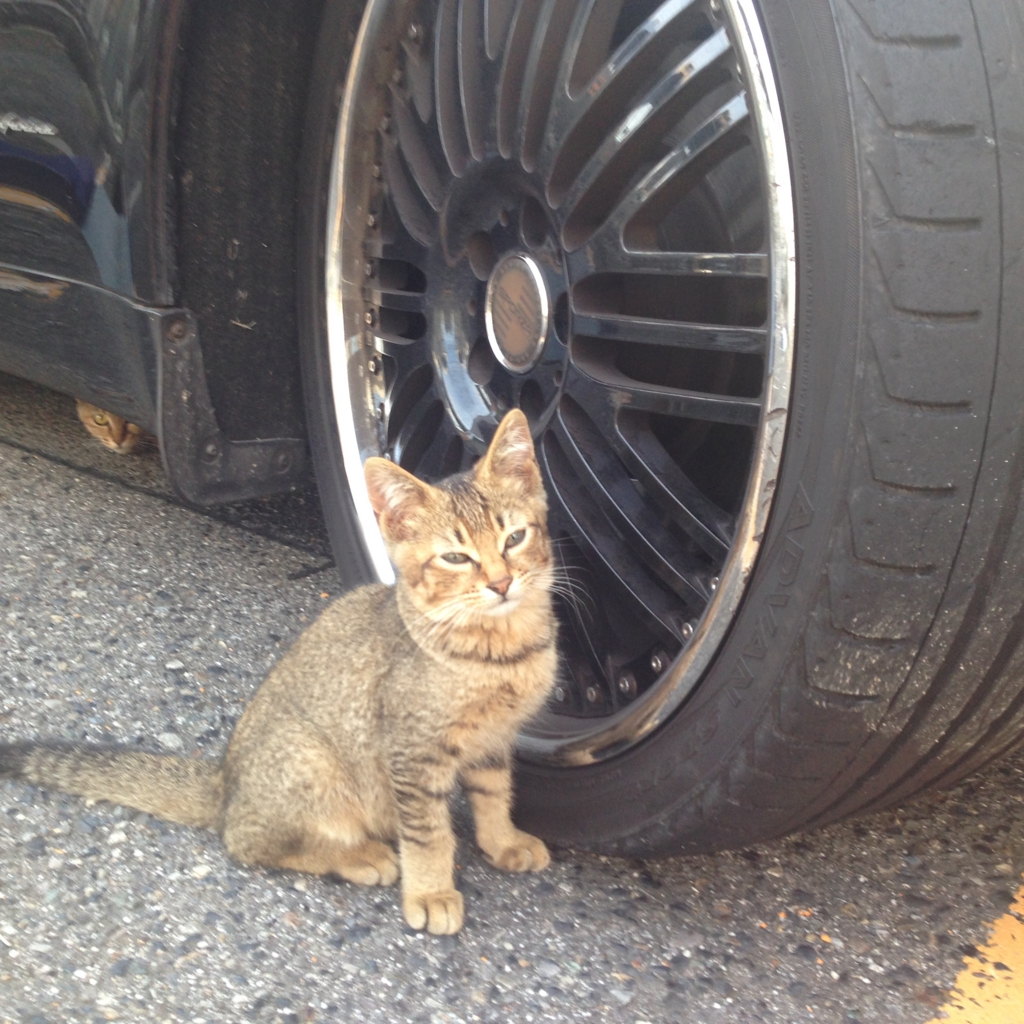 f:id:akihiro5:20160711233106j:plain