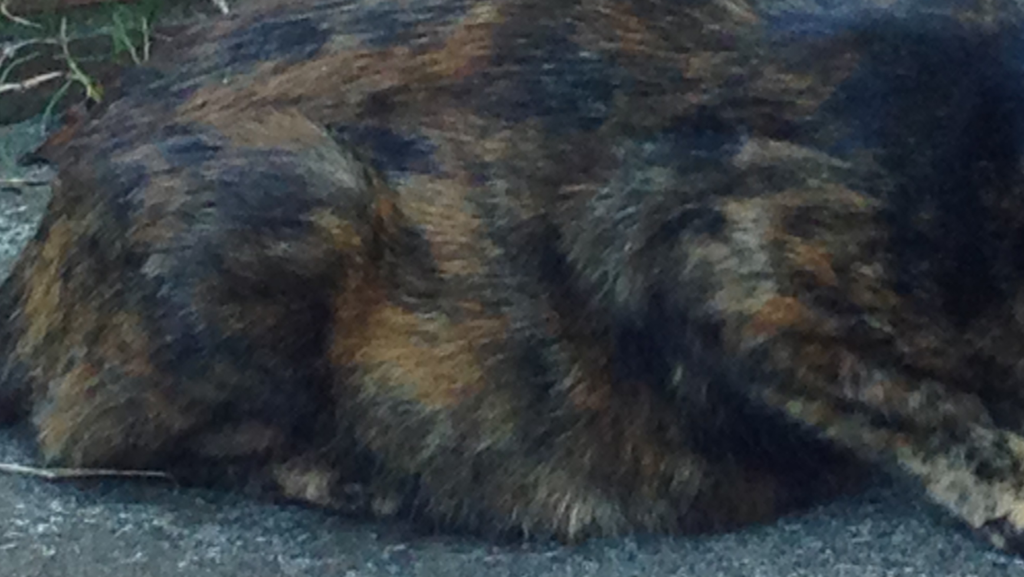 f:id:akihiro5:20160718101844p:plain