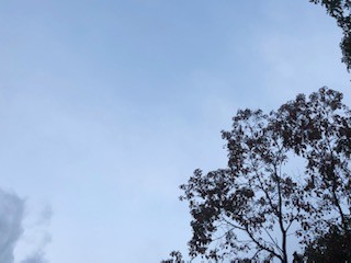 f:id:akihiro_u:20190402181722j:plain
