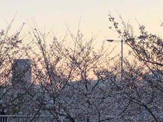 f:id:akihiro_u:20190404180740j:plain