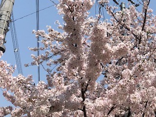 f:id:akihiro_u:20190407113001j:plain