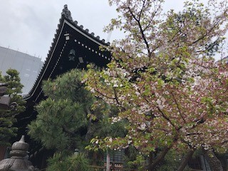 f:id:akihiro_u:20190414151422j:plain