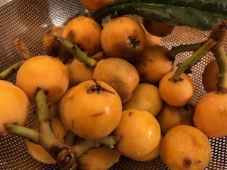 f:id:akihiro_u:20190619203827j:plain