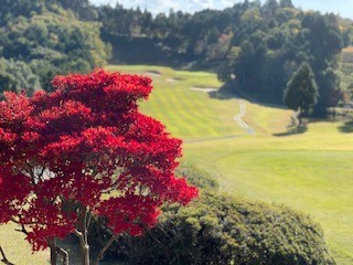 f:id:akihiro_u:20201103125637j:plain f:id:akihiro_u:20201103125637j:plain