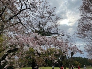 f:id:akihiro_u:20210404080934j:plain