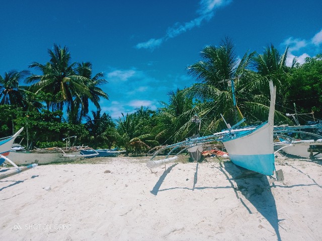 f:id:akihirocebu2601:20230510200822j:image f:id:akihirocebu2601:20230510200822j:image