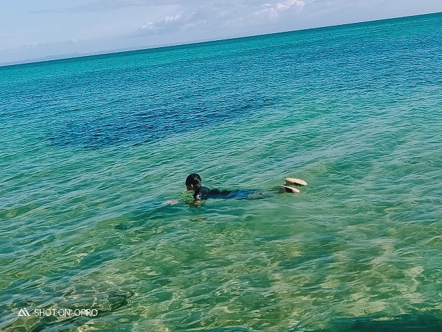 f:id:akihirocebu2601:20230511224946j:image f:id:akihirocebu2601:20230511224946j:image