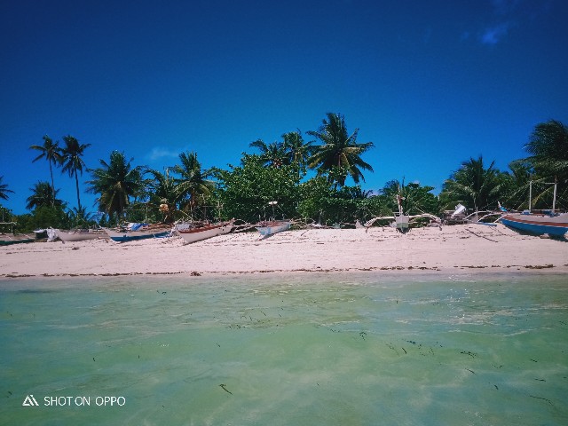 f:id:akihirocebu2601:20230511225034j:image f:id:akihirocebu2601:20230511225034j:image